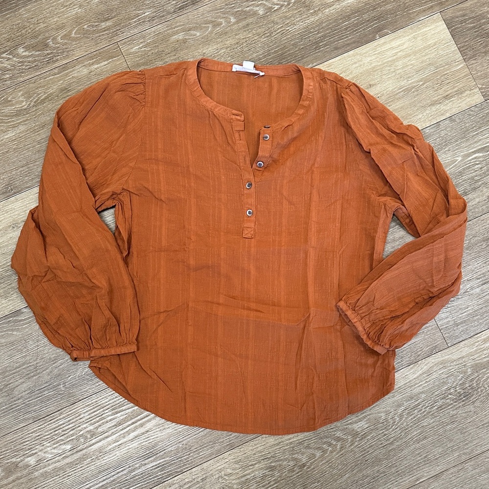 Treasure & Bond Terracotta Blouse
